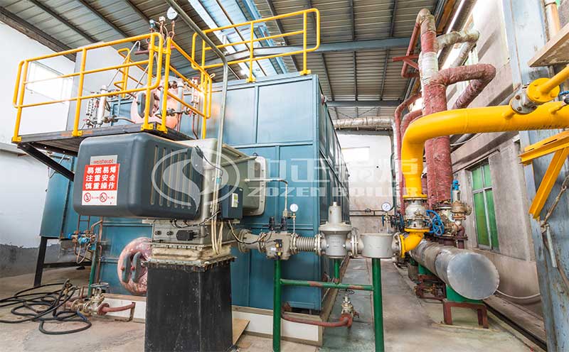 4t燃氣鍋爐客戶案例圖片