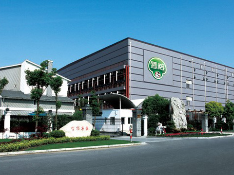 10噸、8噸 DZL 生物質(zhì)鍋爐