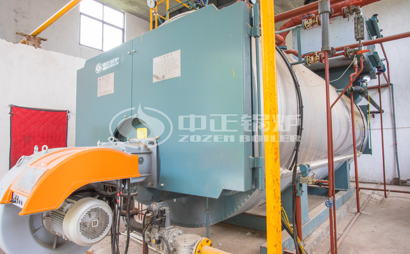 4t燃氣鍋爐客戶案例圖片