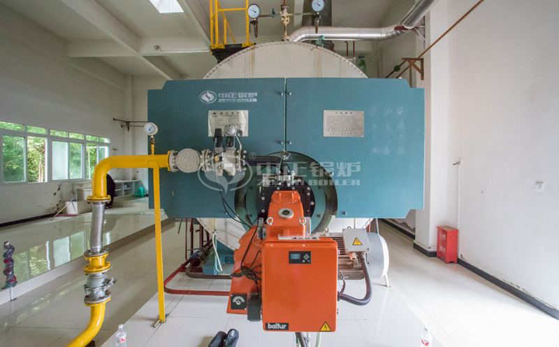 安徽撬裝導(dǎo)熱油鍋爐客戶案例圖片