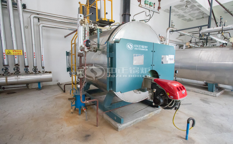 撬裝式雙排鍋爐安全嗎視頻客戶案例圖片