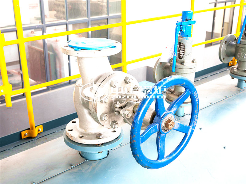 燃氣導熱油鍋爐廠服務(wù)好嗎