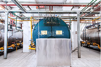 生物質(zhì)導熱油鍋爐價格